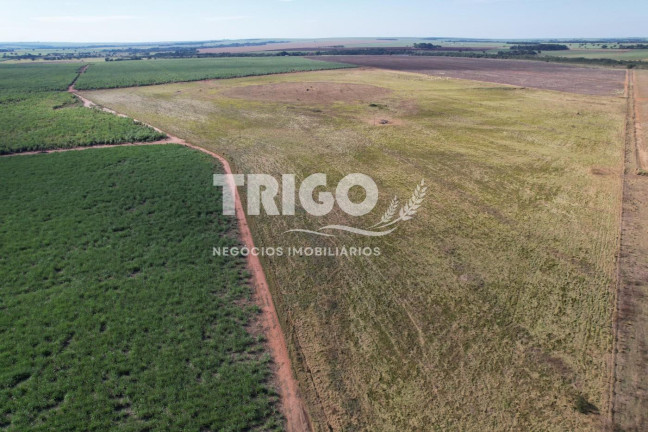 Imagem Fazenda à Venda, 115 m² em Zona Rural - Quirinópolis Imagem Fazenda à Venda, 115 m² em Zona Rural - Quirinópolis