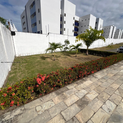 Imagem Apartamento com 2 Quartos à Venda, 54 m² em Gramame - Novo Geisel - João Pessoa Imagem Apartamento com 2 Quartos à Venda, 54 m² em Gramame - Novo Geisel - João Pessoa