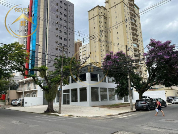 Imagem Imóvel para Alugar, 312 m² em Vila Itapura - Campinas Imagem Imóvel para Alugar, 312 m² em Vila Itapura - Campinas