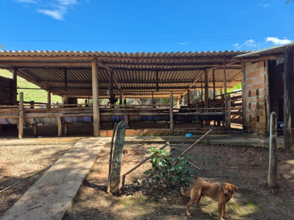 Imagem Chácara com 1 Quarto à Venda, 100 m² em Centro - Silveiras Imagem Chácara com 1 Quarto à Venda, 100 m² em Centro - Silveiras