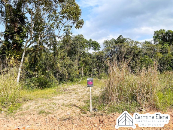 Imagem Terreno à Venda, 150 m² em Tabatinga - Ubatuba