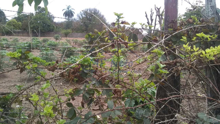 Imagem Terreno à Venda, 1.782 m² em Vila Santa Fé - Pirassununga Imagem Terreno à Venda, 1.782 m² em Vila Santa Fé - Pirassununga