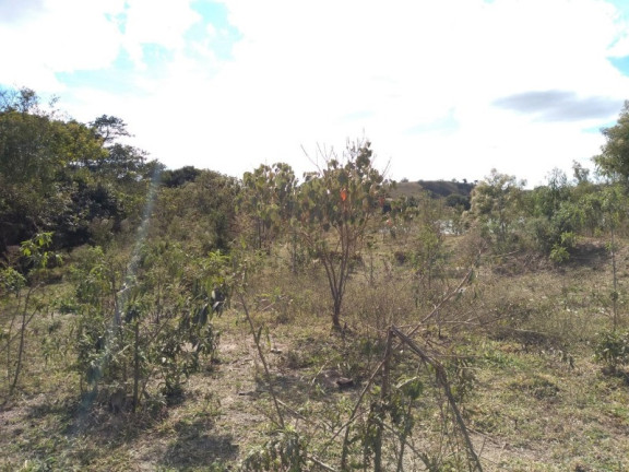Imagem Imóvel à Venda, em Piedade Dos Gerais - Piedade Dos Gerais Imagem Imóvel à Venda, em Piedade Dos Gerais - Piedade Dos Gerais
