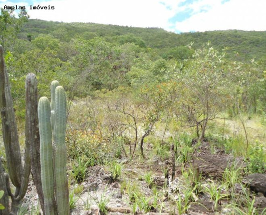 Imagem Fazenda à Venda, 164 m² em Monjolos área Rural - Monjolos