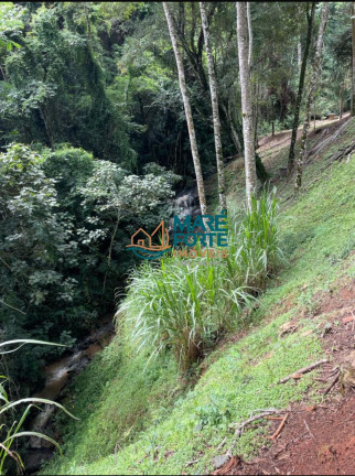 Imagem Fazenda à Venda, 56 m² em Centro - São José Do Alegre Imagem Fazenda à Venda, 56 m² em Centro - São José Do Alegre