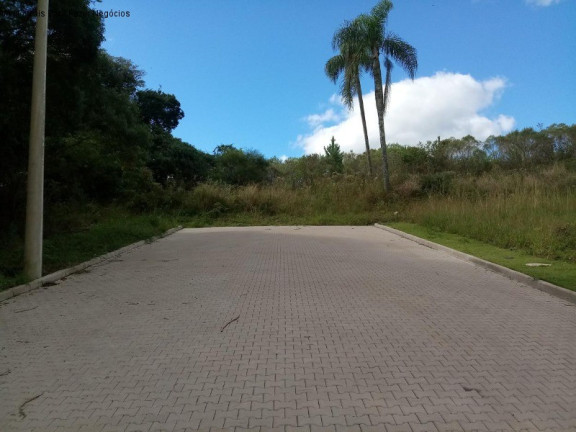 Terreno à Venda, 370 m² em Linha Imperial - Nova Petrópolis