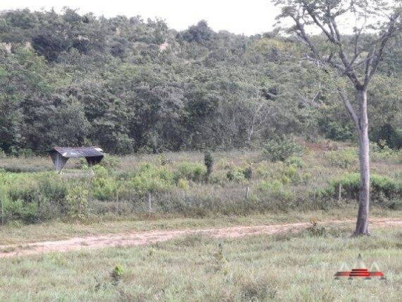 Imagem Fazenda à Venda, 324 m² em Zona Rural - Nova Brasilândia Imagem Fazenda à Venda, 324 m² em Zona Rural - Nova Brasilândia