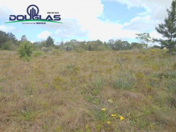 Imagem Imóvel Comercial à Venda, 3.640 m² em Morro Grande - Viamão