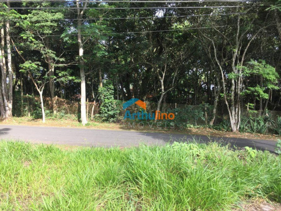 Imagem Terreno à Venda, 1.015 m² em Chácara Represinha - Cotia Imagem Terreno à Venda, 1.015 m² em Chácara Represinha - Cotia