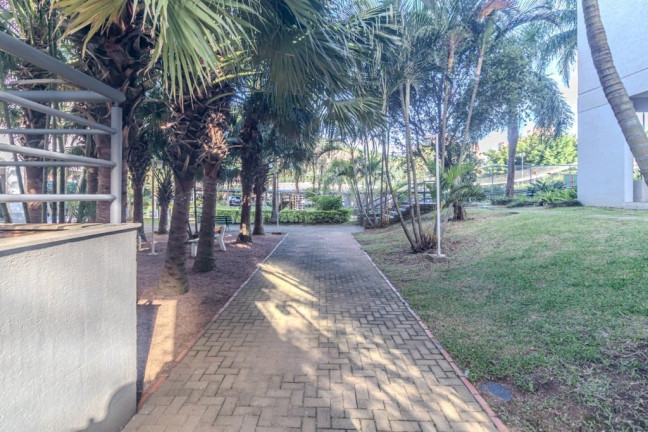 Imagem Apartamento com 3 Quartos à Venda, 78 m² em Jardim Carvalho - Porto Alegre