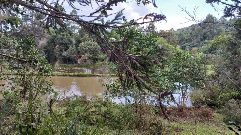 Imagem Imóvel com 3 Quartos à Venda, 11 m² em Olaria - Bocaiúva Do Sul Imagem Imóvel com 3 Quartos à Venda, 11 m² em Olaria - Bocaiúva Do Sul
