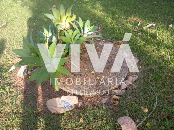 Imagem Fazenda à Venda, 8.500 m² em T - Extrema