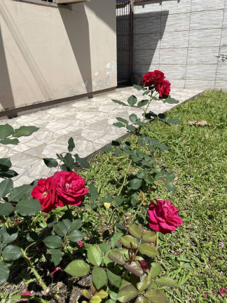 Imagem Casa com 2 Quartos à Venda, 137 m² em Olaria - Canoas Imagem Casa com 2 Quartos à Venda, 137 m² em Olaria - Canoas