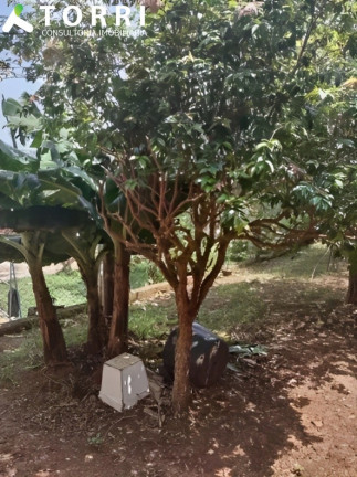 Imagem Sobrado com 3 Quartos à Venda, 183 m² em Jardim Camila - Sorocaba Imagem Sobrado com 3 Quartos à Venda, 183 m² em Jardim Camila - Sorocaba