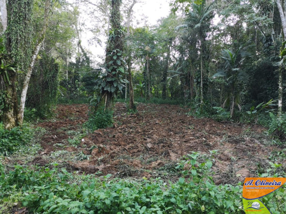 Imagem Terreno à Venda, 56.000 m² em Ubatumirim - Ubatuba Imagem Terreno à Venda, 56.000 m² em Ubatumirim - Ubatuba