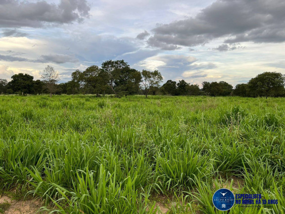 Imagem Fazenda à Venda, 575 m² em Zona Rural - Uirapuru Imagem Fazenda à Venda, 575 m² em Zona Rural - Uirapuru