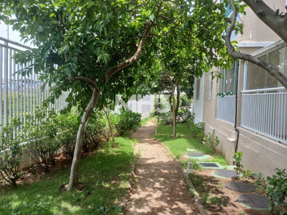 Imagem Imóvel com 3 Quartos à Venda, 61 m² em Residencial Parque Da Fazenda - Campinas Imagem Imóvel com 3 Quartos à Venda, 61 m² em Residencial Parque Da Fazenda - Campinas