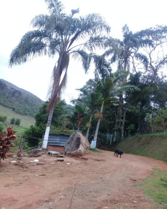 Imagem Imóvel com 4 Quartos à Venda, 5.000 m² em Distrito De Juiz De Fora - Monte Verde(juiz De Fora)