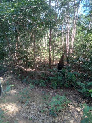 Imagem Imóvel à Venda,  em Colinas/ma - Colinas