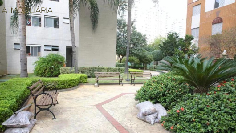Imagem Imóvel com 2 Quartos à Venda, 49 m² em Cambuci - São Paulo Imagem Imóvel com 2 Quartos à Venda, 49 m² em Cambuci - São Paulo