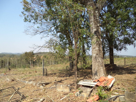 Imagem Chácara com 4 Quartos à Venda, 63.000 m² em Douradinho - Piedade Imagem Chácara com 4 Quartos à Venda, 63.000 m² em Douradinho - Piedade
