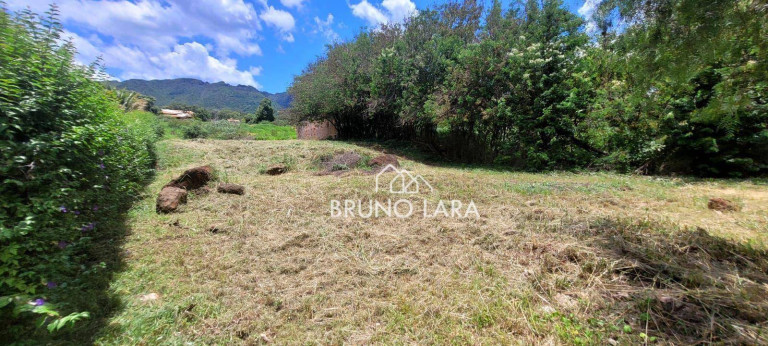 Imagem Terreno à Venda, 1.000 m² em Vivendas Santa Mônica - Igarapé Imagem Terreno à Venda, 1.000 m² em Vivendas Santa Mônica - Igarapé