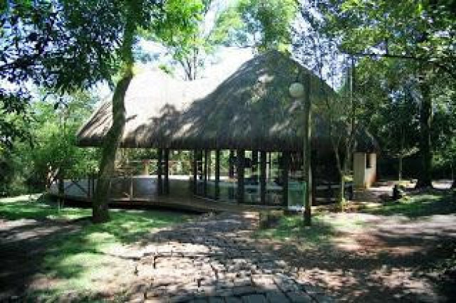 Imagem Casa com 4 Quartos à Venda, 224 m² em Esperança - Londrina