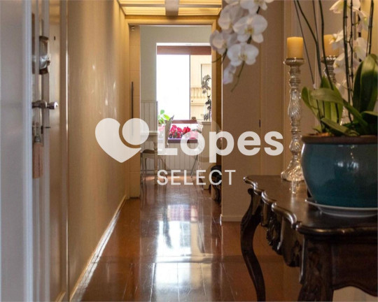 Imagem Apartamento com 6 Quartos à Venda, 450 m² em Cambuí - Campinas Imagem Apartamento com 6 Quartos à Venda, 450 m² em Cambuí - Campinas