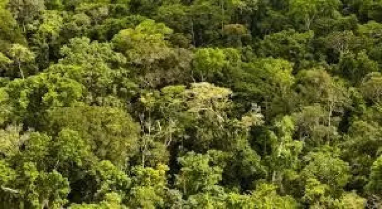 Imagem Fazenda à Venda, 522 m² em Zona Rural - Nova Maringá Imagem Fazenda à Venda, 522 m² em Zona Rural - Nova Maringá