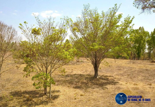 Imagem Chácara à Venda, 27 m² em Zona Rural - Bela Vista De Goiás Imagem Chácara à Venda, 27 m² em Zona Rural - Bela Vista De Goiás