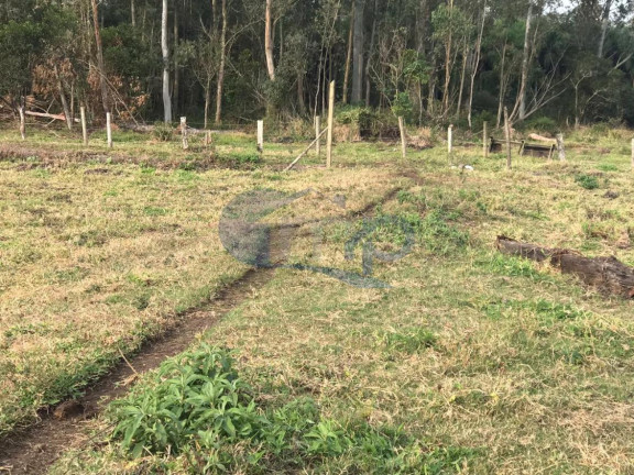 Imagem Fazenda à Venda, 120.000 m² em Jacaré - Torres