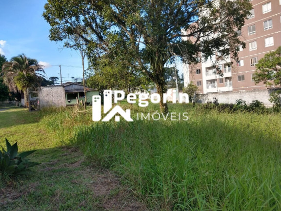 Imagem Terreno à Venda, 6.325 m² em Jardim Cláudia - Pinhais