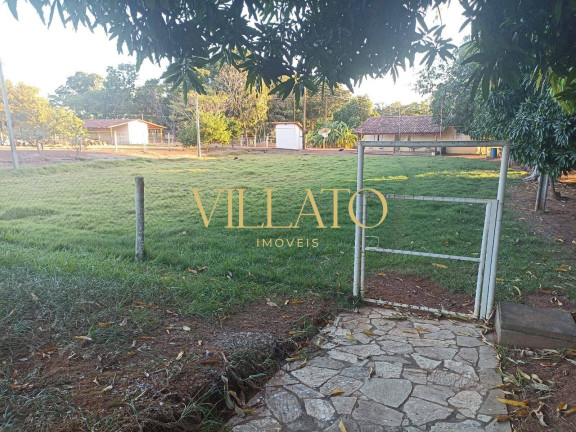 Imagem Chácara com 3 Quartos à Venda, 8 m² em Matrinchã Imagem Chácara com 3 Quartos à Venda, 8 m² em Matrinchã