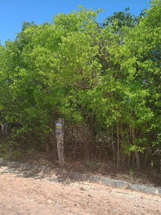 Imagem Terreno à Venda, 1.000 m² em Centro De Tibau Do Sul - Tibau Do Sul Imagem Terreno à Venda, 1.000 m² em Centro De Tibau Do Sul - Tibau Do Sul