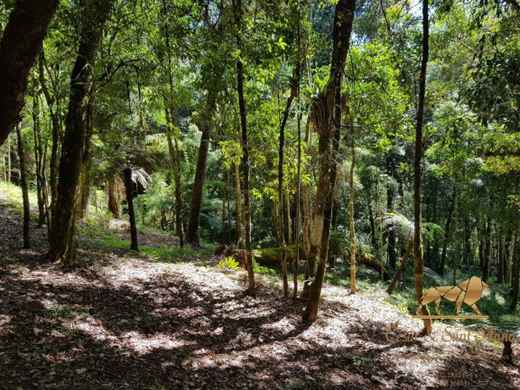 Imagem Casa com 4 Quartos à Venda, 80 m² em Recanto Das Araucárias - Campos Do Jordão Imagem Casa com 4 Quartos à Venda, 80 m² em Recanto Das Araucárias - Campos Do Jordão