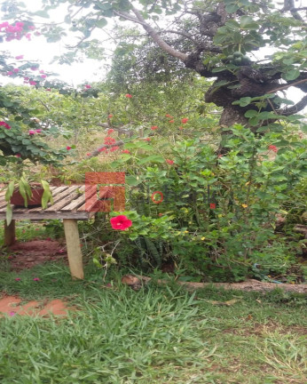 Imagem Imóvel com 3 Quartos à Venda, 2.500 m² em Centro - Montes Claros Imagem Imóvel com 3 Quartos à Venda, 2.500 m² em Centro - Montes Claros