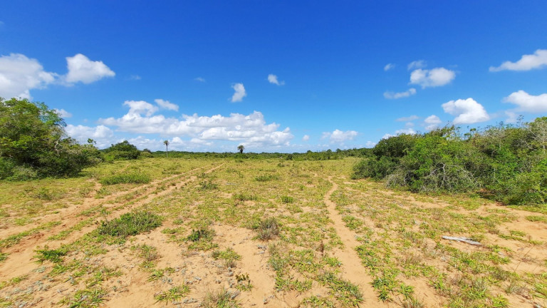 Imagem Fazenda à Venda, 900.000 m² em Centro - Viamão Imagem Fazenda à Venda, 900.000 m² em Centro - Viamão