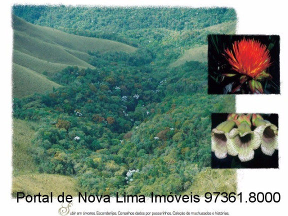 Imagem Terreno à Venda, 2.910 m² em Quintas Do Morro - Nova Lima