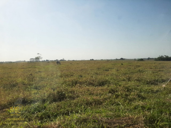 Imagem Imóvel à Venda, 48 m² em Dores De Macabu - Campos Dos Goytacazes Imagem Imóvel à Venda, 48 m² em Dores De Macabu - Campos Dos Goytacazes