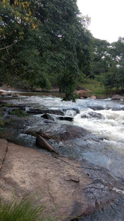 Imagem Fazenda à Venda, 18 m² em Zona Rural - Orizona