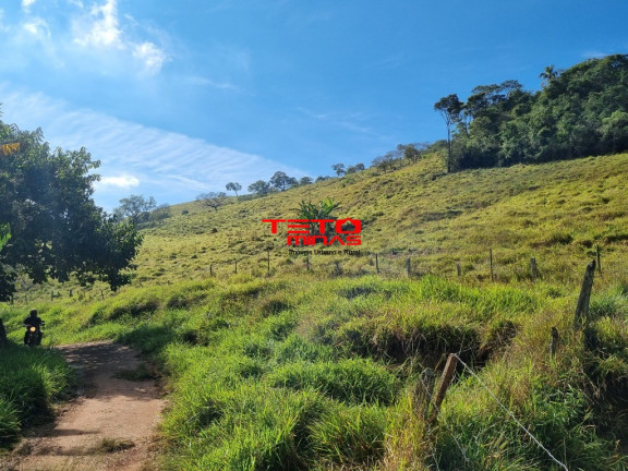 Imagem Imóvel à Venda, em Zona Rural - Soledade De Minas Imagem Imóvel à Venda, em Zona Rural - Soledade De Minas