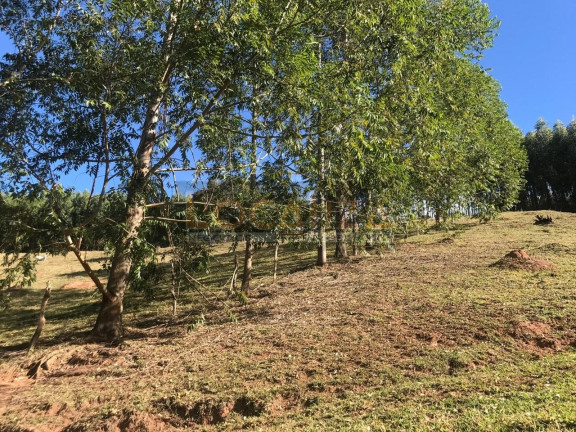 Imagem Imóvel com 2 Quartos à Venda, 100 m² em Baleiro Felicidade - Cunha Imagem Imóvel com 2 Quartos à Venda, 100 m² em Baleiro Felicidade - Cunha