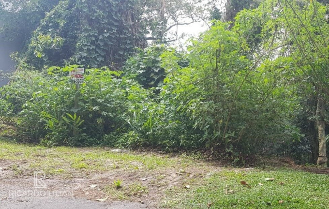 Imagem Terreno à Venda, 2.000 m² em Centro - Mairiporã