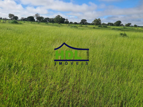 Imagem Fazenda à Venda, 110 m² em Cocalinho