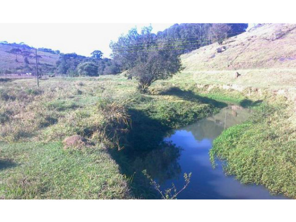 Imagem Terreno à Venda, 12.000 m² em Ponte Alta - Bueno Brandão Imagem Terreno à Venda, 12.000 m² em Ponte Alta - Bueno Brandão