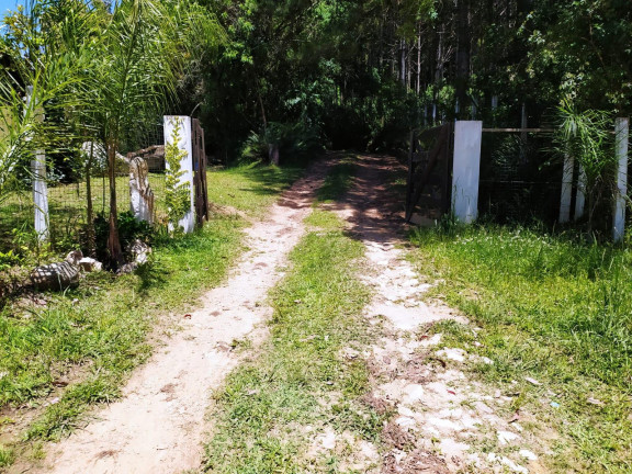 Imagem Imóvel com 3 Quartos à Venda, 27.000 m² em Centro - Contenda Imagem Imóvel com 3 Quartos à Venda, 27.000 m² em Centro - Contenda