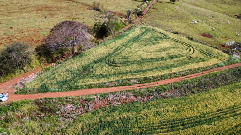 Imagem Terreno à Venda, 2.600 m² em Tomazina - Tomazina
