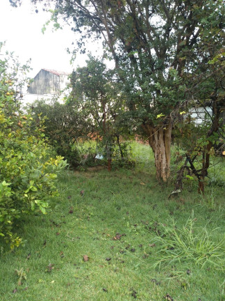 Imagem Casa com 3 Quartos à Venda, 173 m² em Centro - Itapetininga