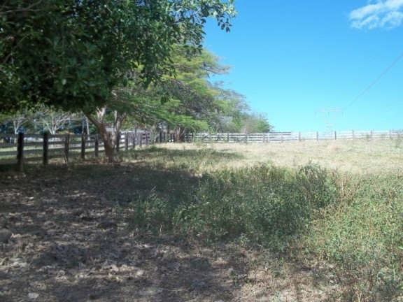 Imagem Fazenda à Venda, 222 m² em Zona Rural - Professor Jamil Imagem Fazenda à Venda, 222 m² em Zona Rural - Professor Jamil