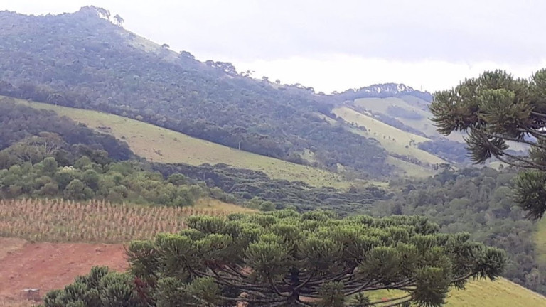 Imagem Fazenda à Venda, 120 m² em Centro - Passa Quatro Imagem Fazenda à Venda, 120 m² em Centro - Passa Quatro